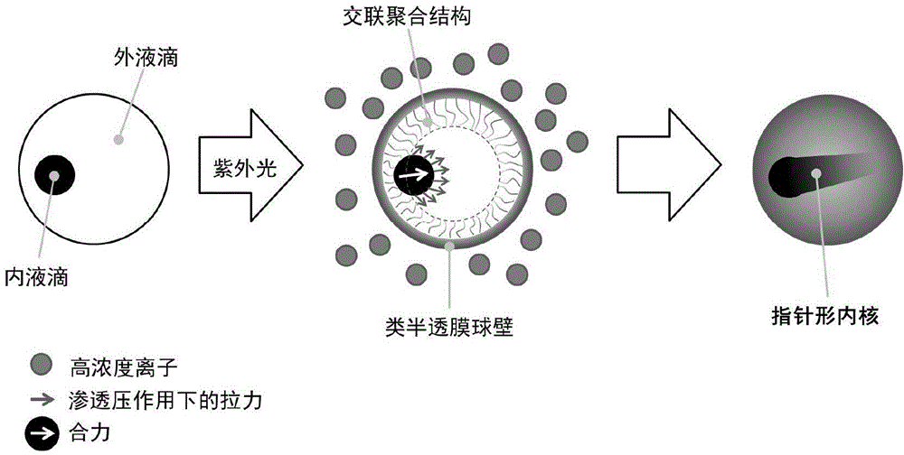 Microstress-induced reaction method and preparation method of pointer nuclear-shell microparticles using same