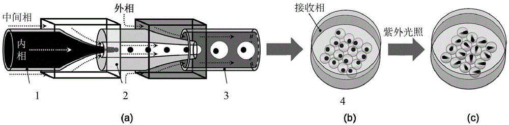 Microstress-induced reaction method and preparation method of pointer nuclear-shell microparticles using same