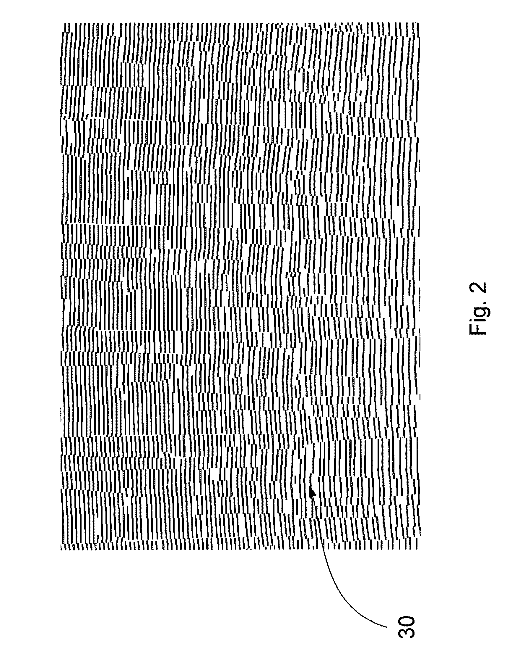 Optical integrated nanospectrometer