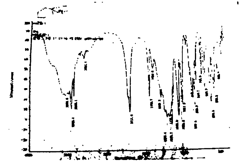 Treatment method of waste water produced in process for producing caprolactam by utilizing toluene method