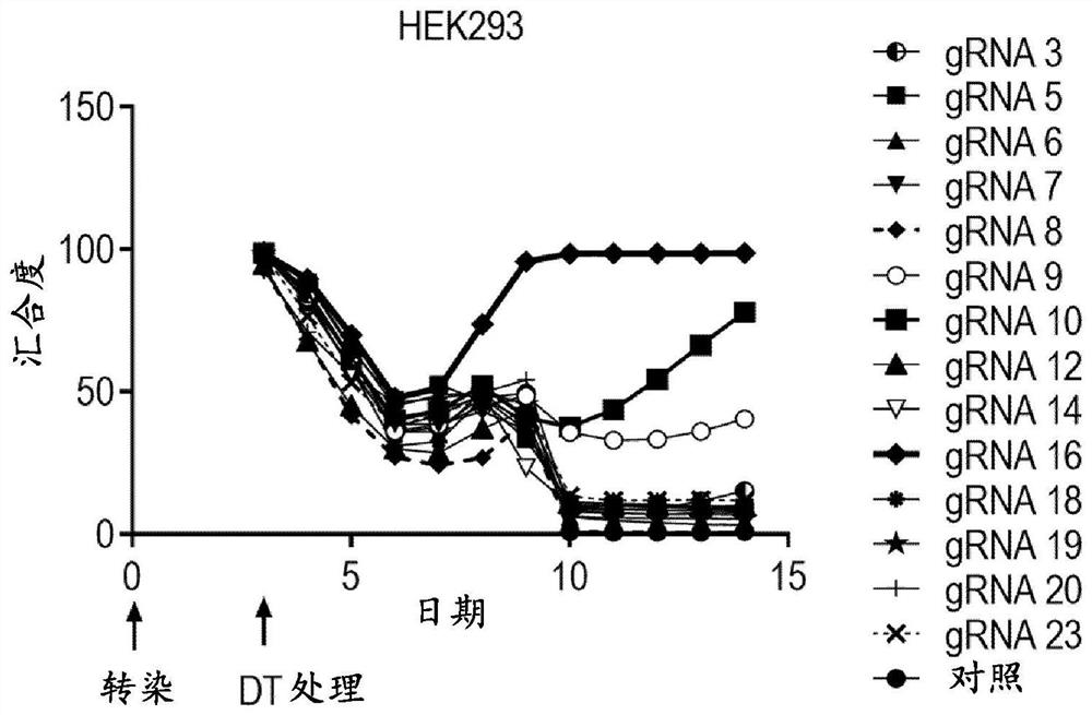 Compositions and methods for improved gene editing