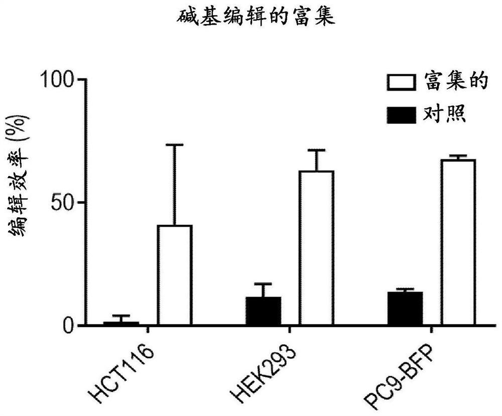 Compositions and methods for improved gene editing