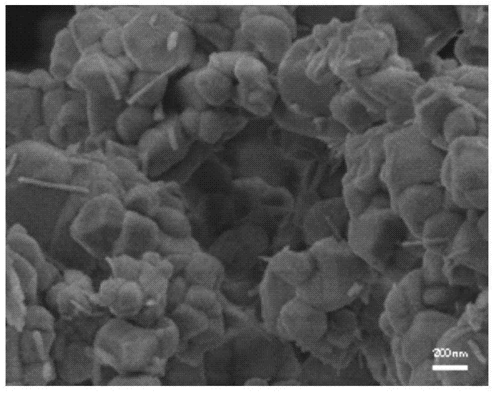 Novel red light conversion film and preparation method and application thereof