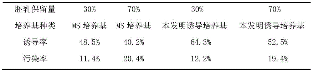 Method for Inducing Callus Formation from Phyllostachys pubescens Seed Embryo