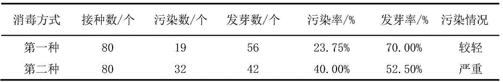 Method for Inducing Callus Formation from Phyllostachys pubescens Seed Embryo