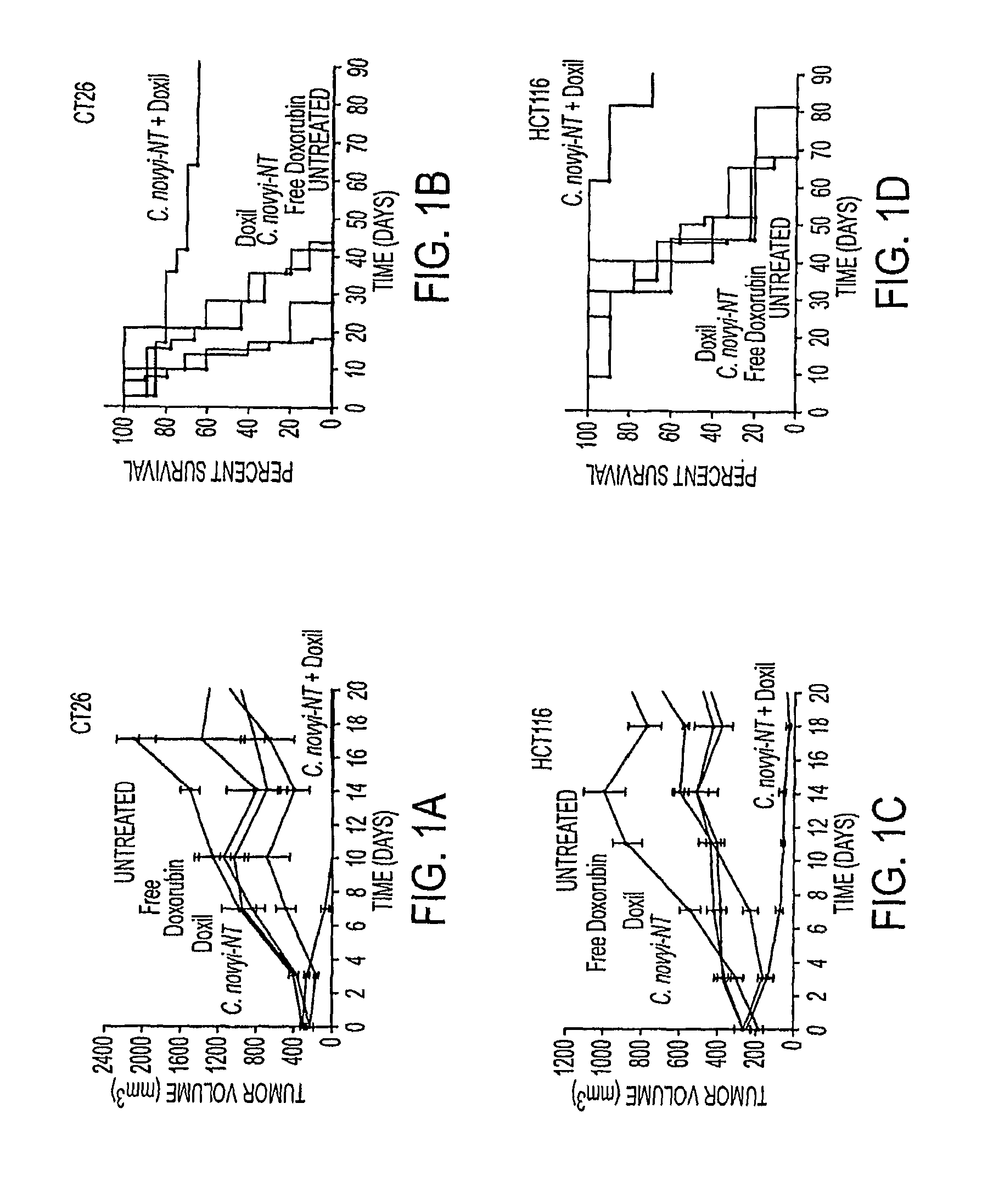 Tumor specific delivery of therapeutic agents via liposomase