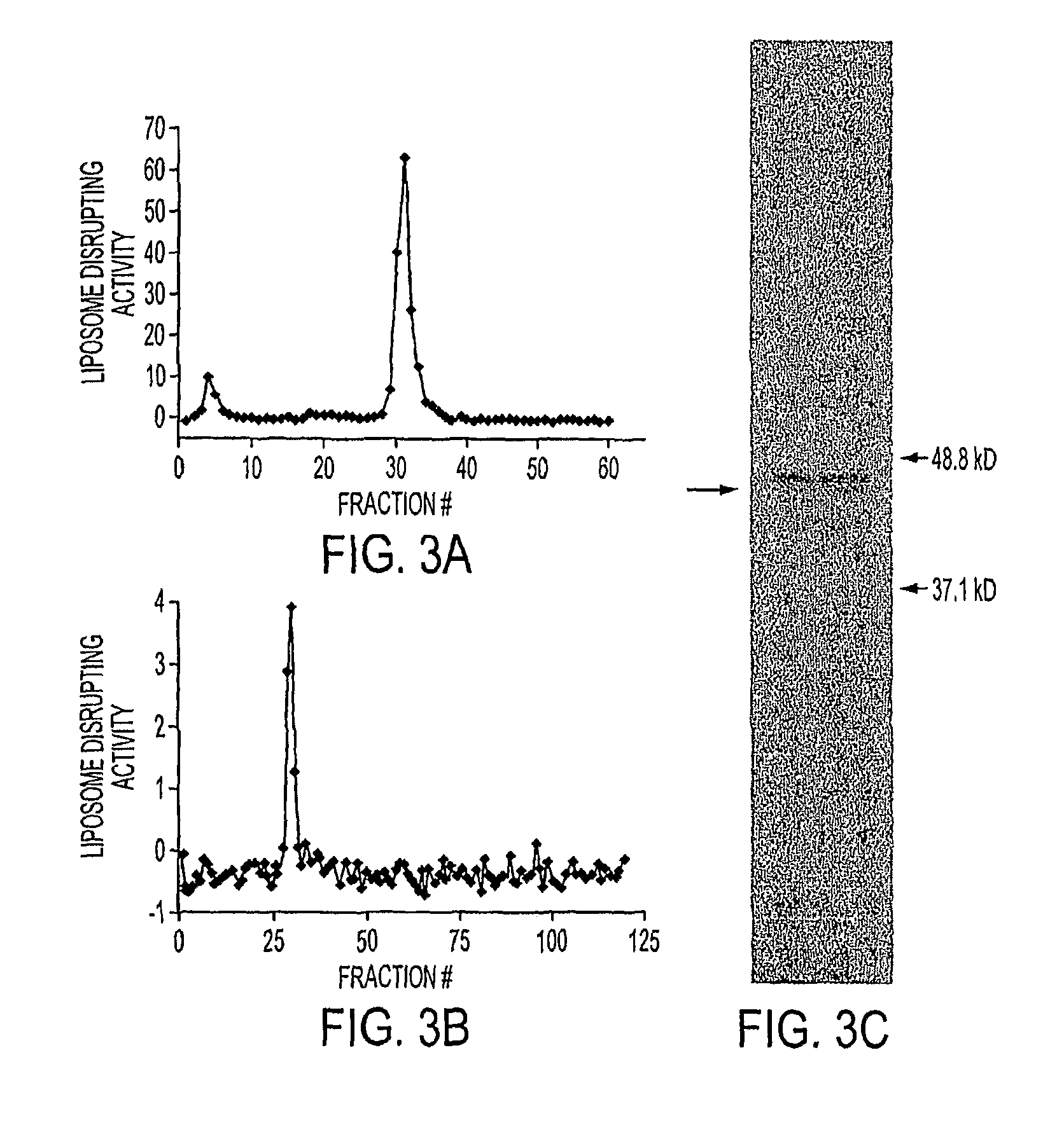 Tumor specific delivery of therapeutic agents via liposomase