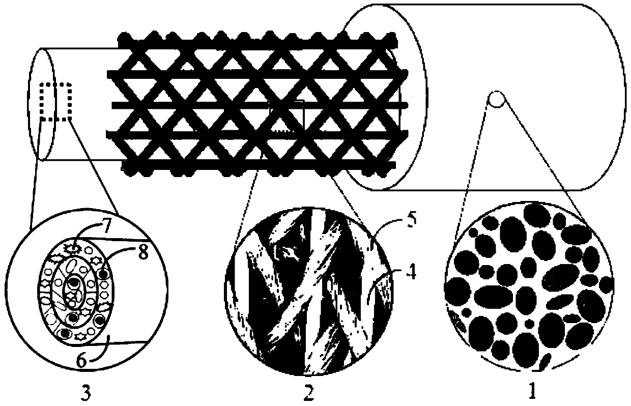 Nerve conduit of magnesium wire and silk compositely woven structure and preparation method of nerve conduit