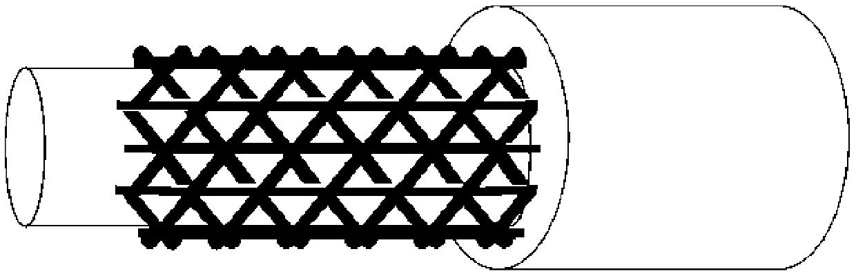 Nerve conduit of magnesium wire and silk compositely woven structure and preparation method of nerve conduit