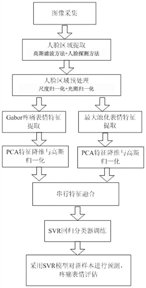 A Pain Assessment Method for Human Facial Expression