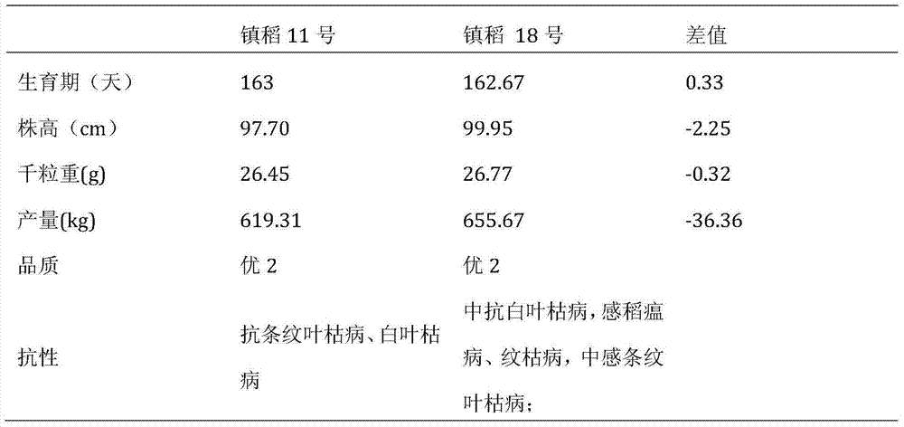 Mixed sowing and companion planting method for ensuring rice production safety