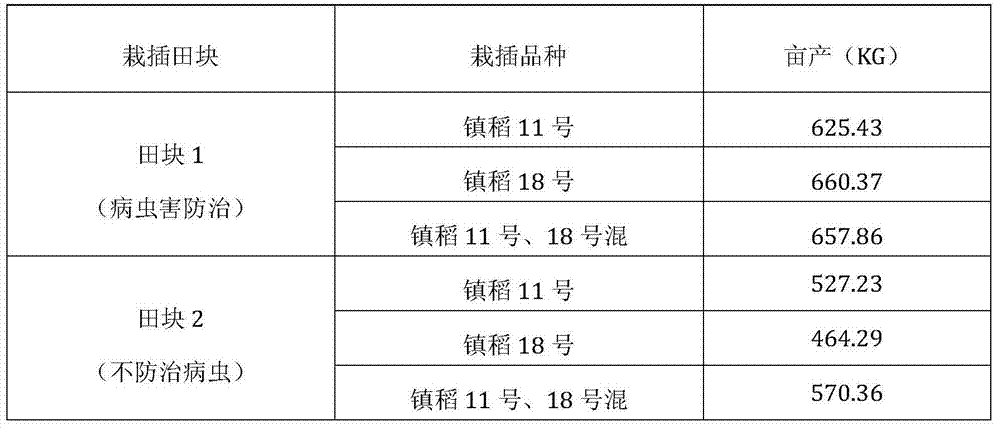 Mixed sowing and companion planting method for ensuring rice production safety