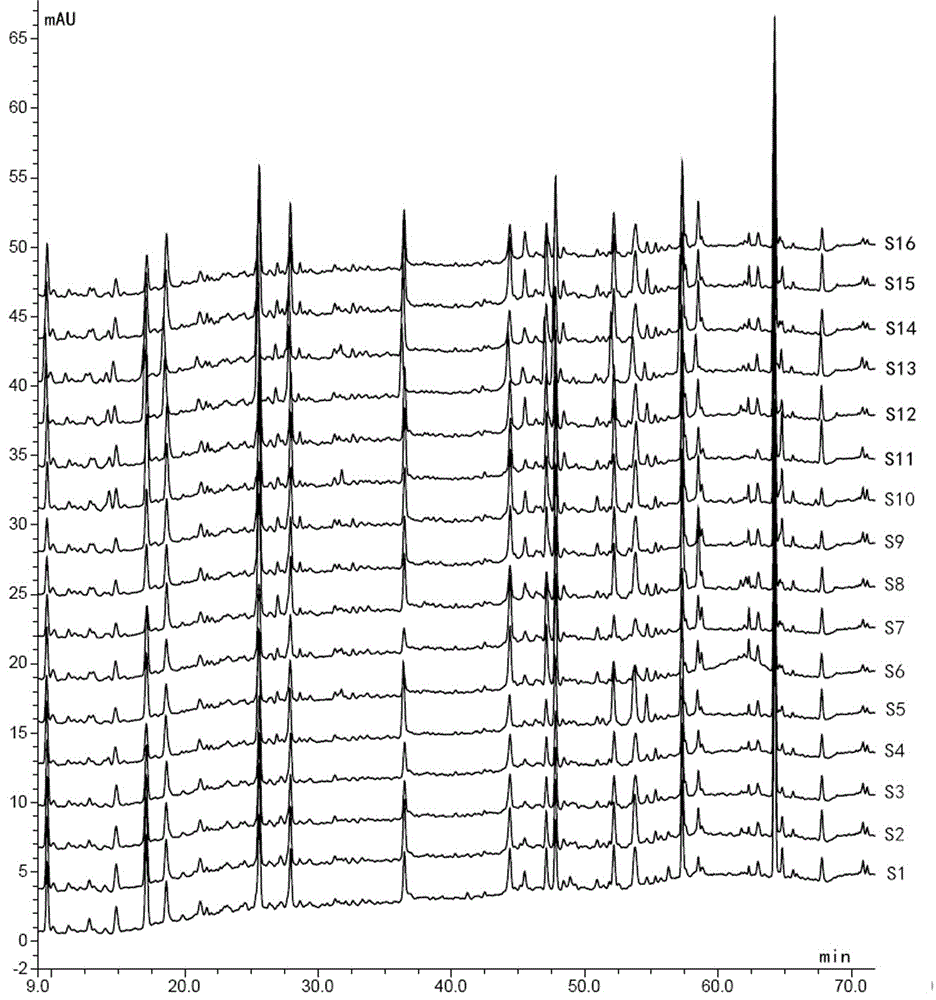 Construction method of HPLC specific chromatogram of wind-heat common cold granule