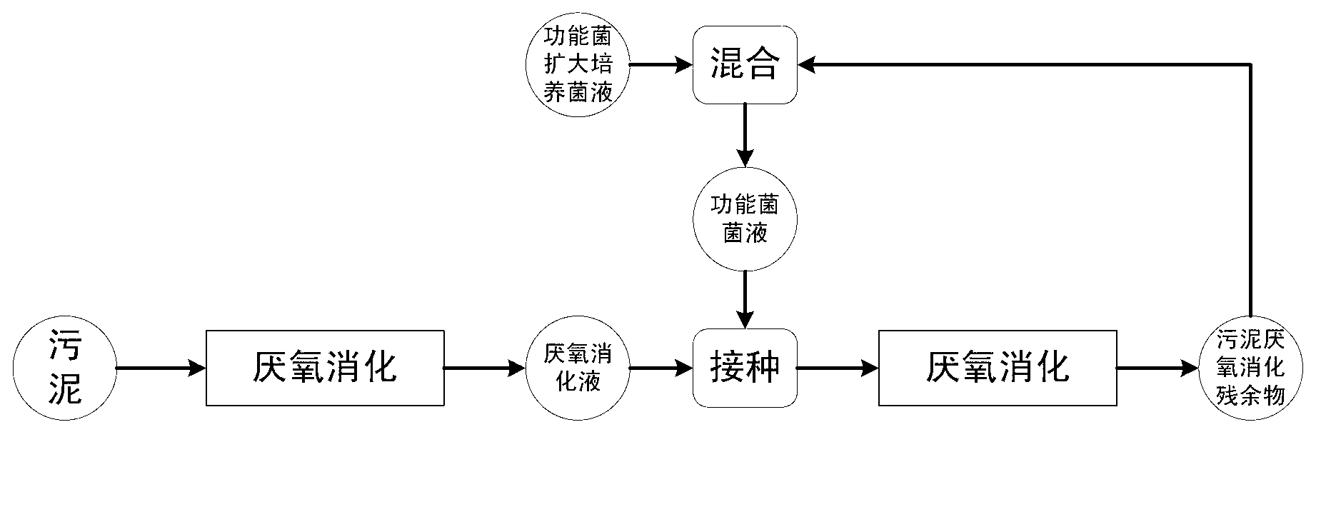 Method for improving anaerobic digestion performance of sludge and synchronously enlarging cultivation by functional bacteria