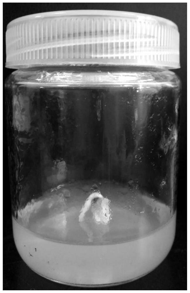 A method for fast breeding seedlings by tissue culture of mature embryos of fine chestnut