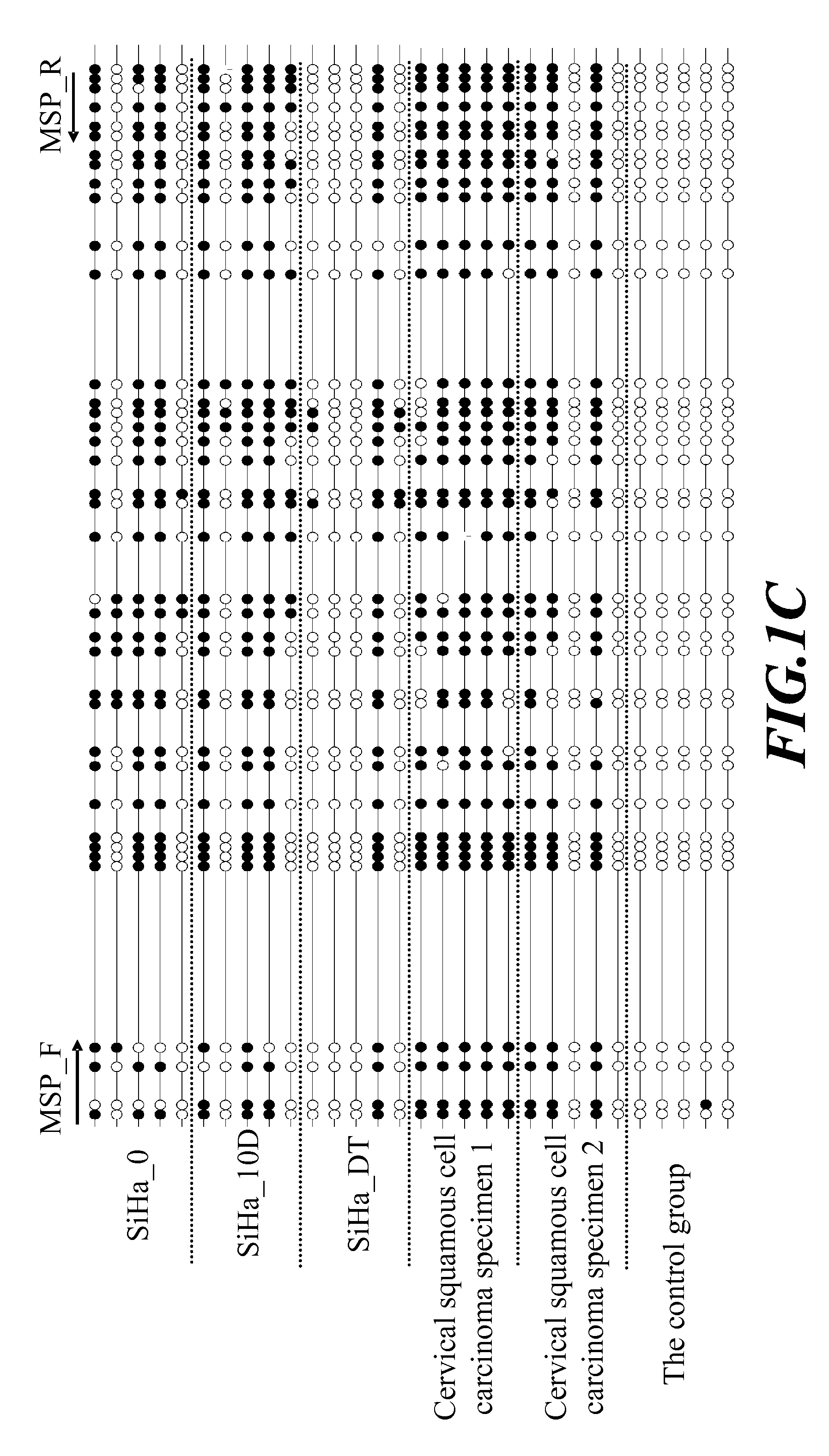 Cancer Screening Method