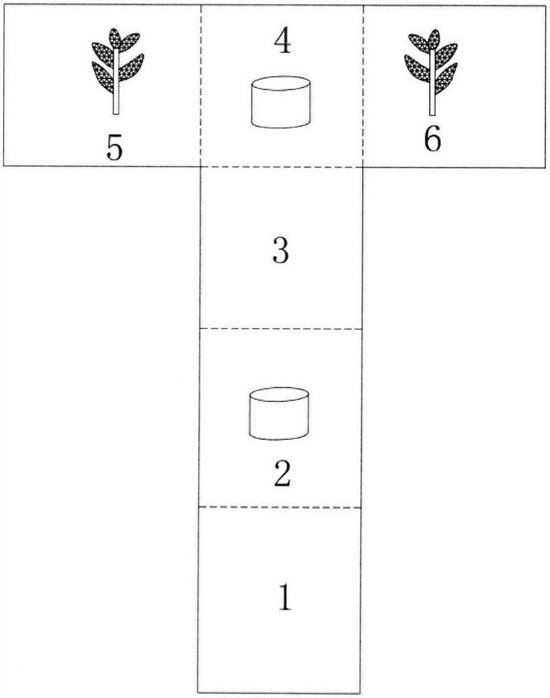 T-shaped observation room for enhancing parasitism rate of parasitic wasps by volatile allelochemicals and observation method of T-shaped observation room