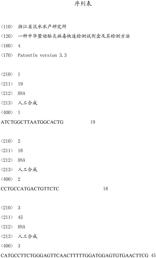 Rapid detection kit and detection method of Chinese softshell turtle artertivirus