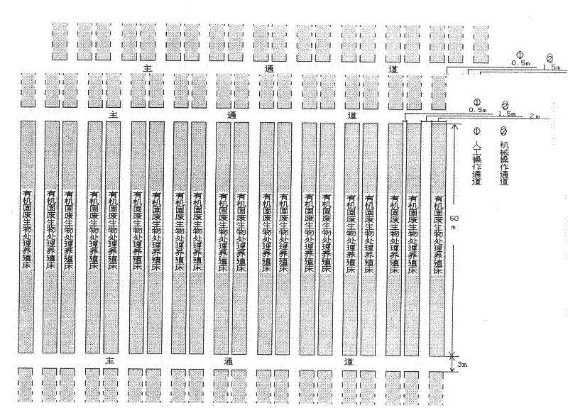 Method for treating sludge in large scale by utilizing earthworm