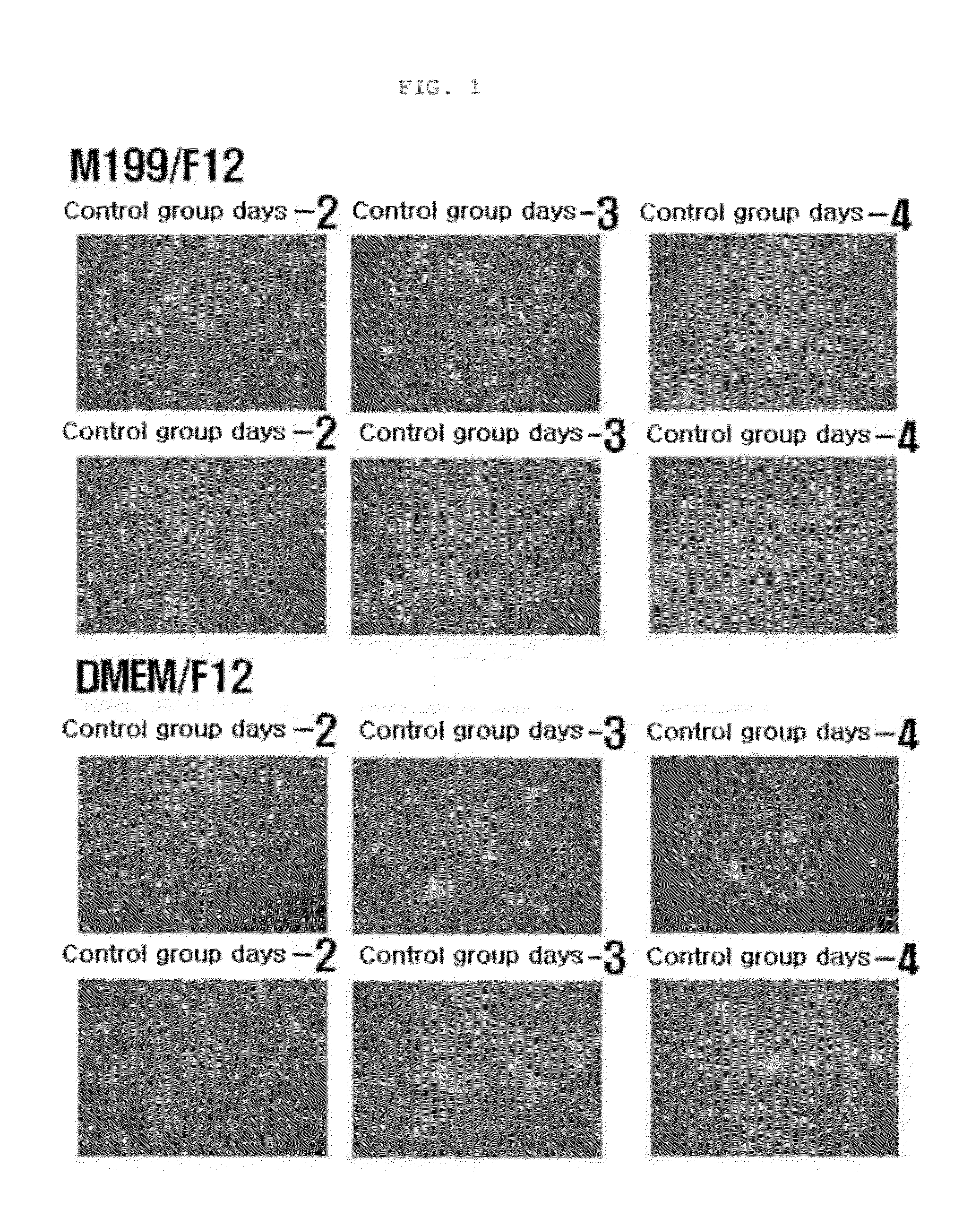 Method for proliferating hair follicle stem cells