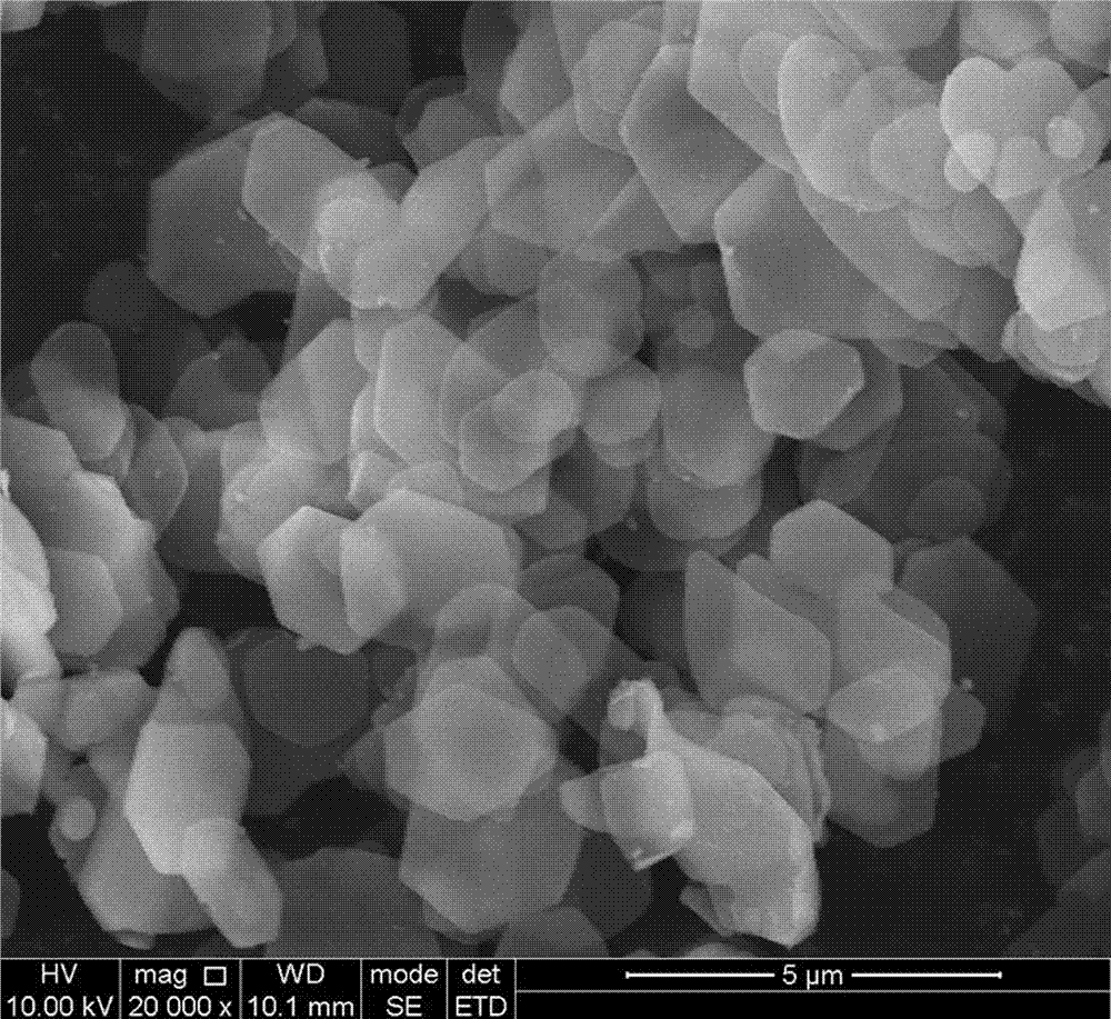 One-step-process in-situ organically modified zirconium phosphate/casting nylon nano composite material and preparation method thereof