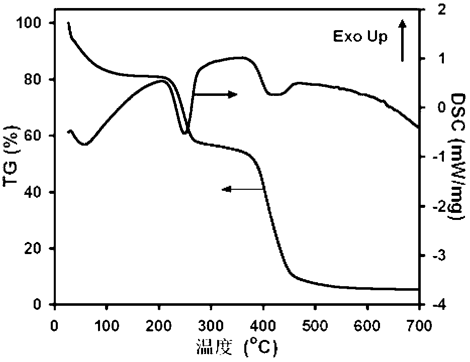 Polymer supported quaternary ammonium salt ion catalyst as well as preparation method and application thereof