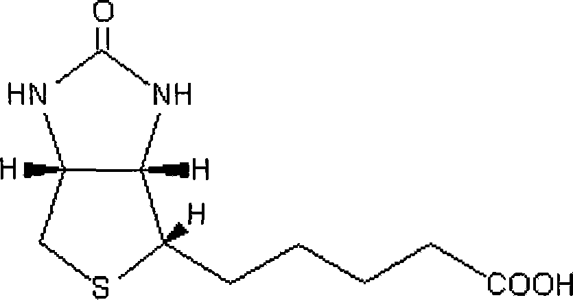 Biotinylated pulullan polysaccharide nanometer grains and the preparation method