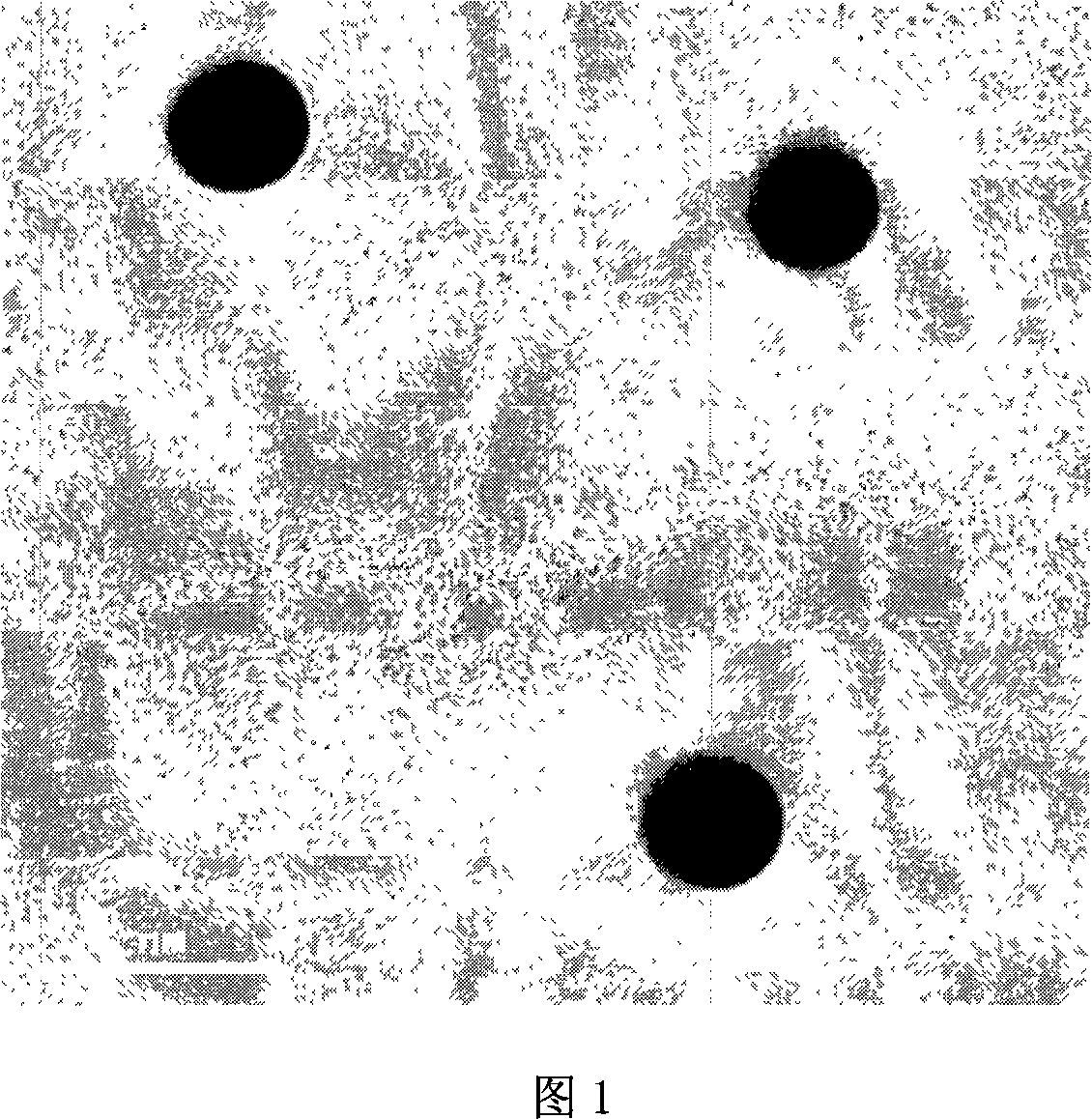 Biotinylated pulullan polysaccharide nanometer grains and the preparation method