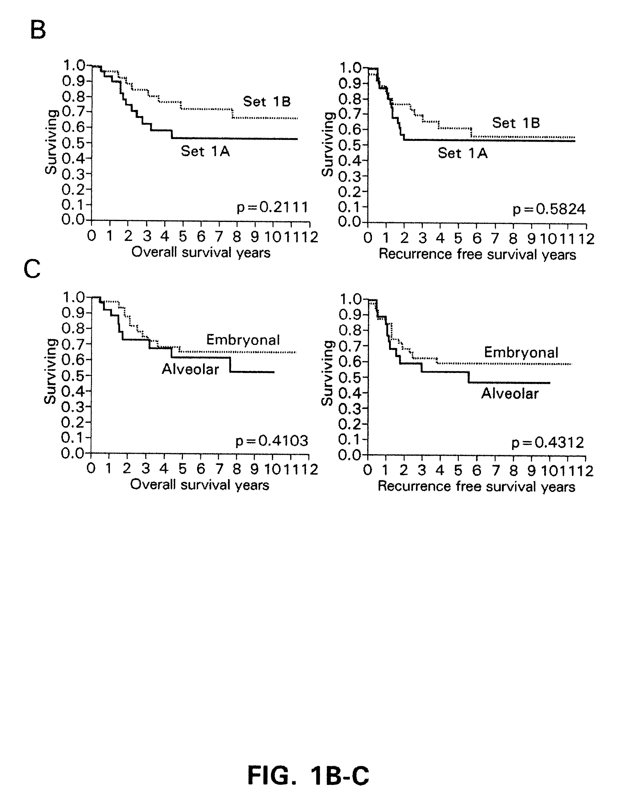 Stat3 as a theranostic indicator