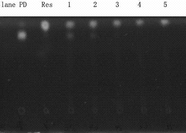 Method for converting polydatin to resveratrol by microbial enzyme method