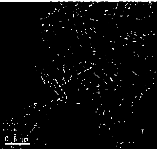 A kind of preparation method of perylene diimide functionalized copper oxide nanocomposite material