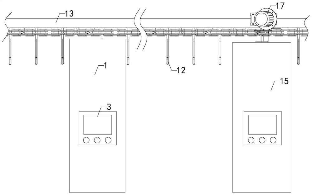 Live pig slaughtering system