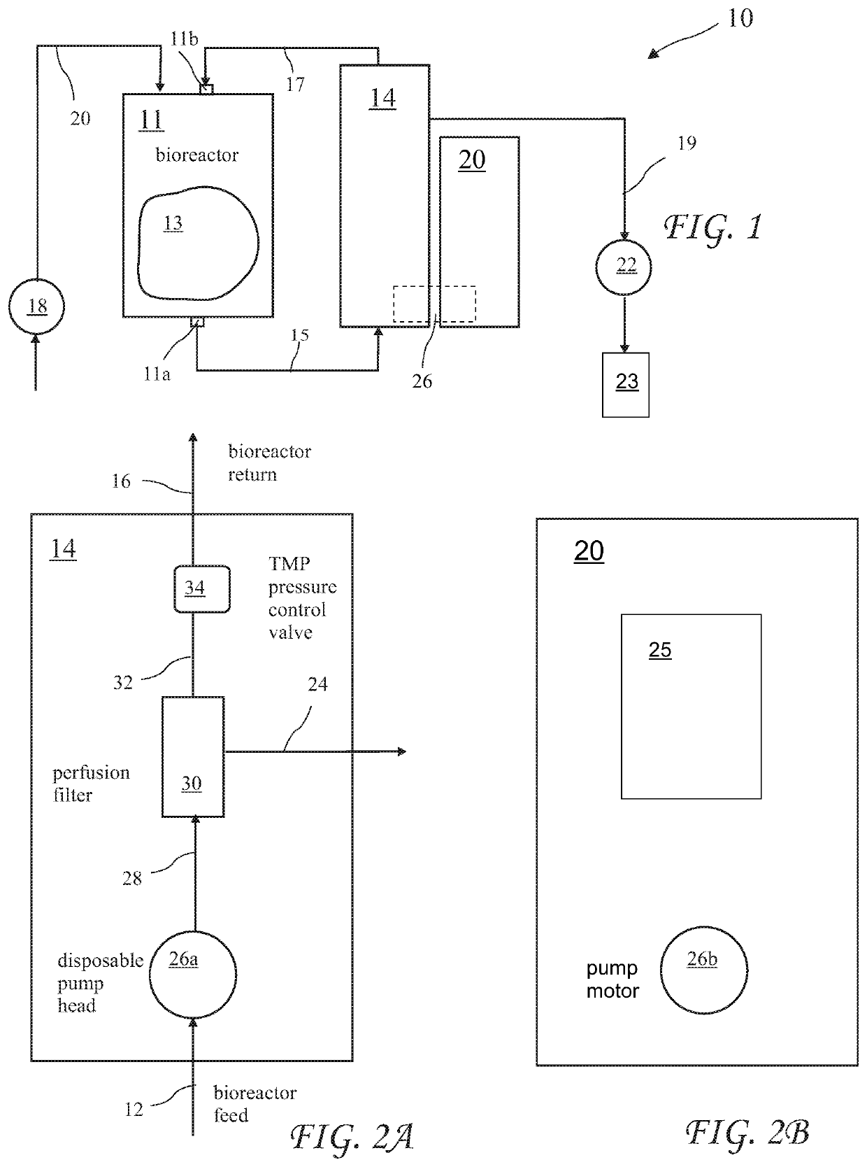 Method for Proliferation of Cells Within a Bioreactor Using a Disposable Pumphead and Filter Assembly