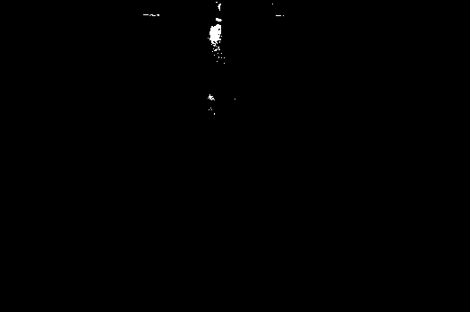 Method for detoxification micropropagation of callicarpa nudiflora