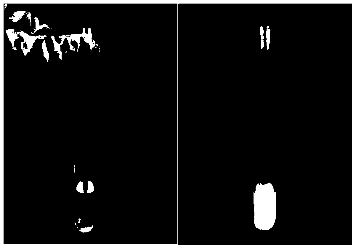 Biological 3D printing ink and preparation method thereof