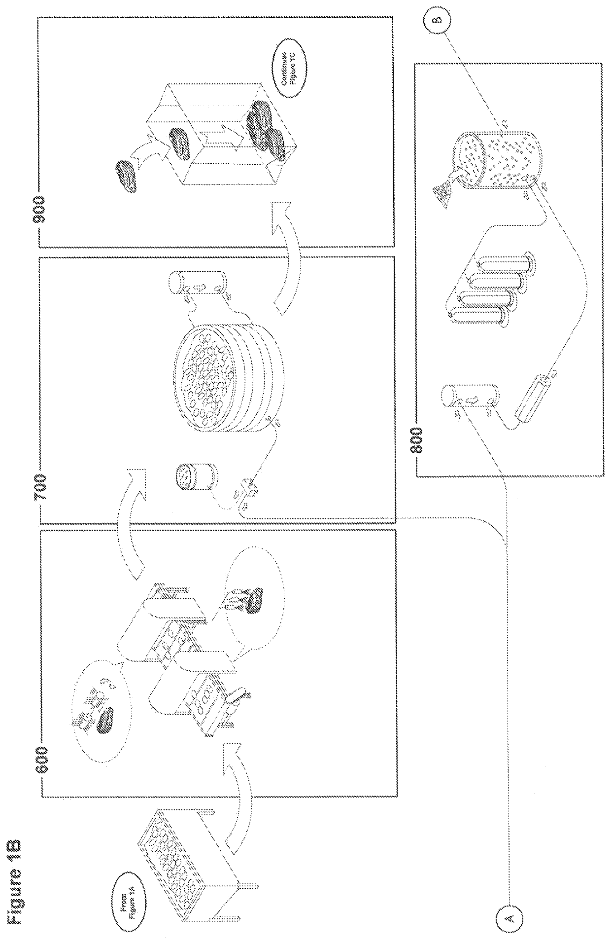 Method of packaging shellfish