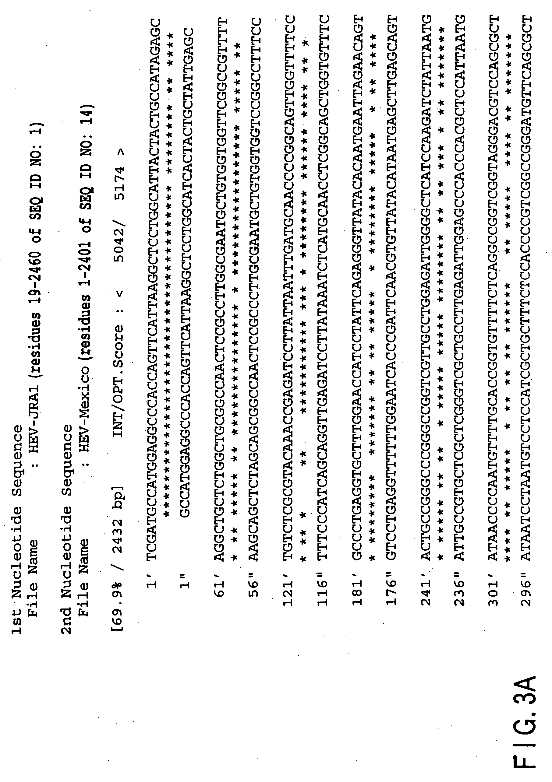 Polynucleotide probe and primer derived from hepatitis E virus recovered from japanese, chip including the same, kit including the same, and method of detecting hepatitis E virus genome using the same