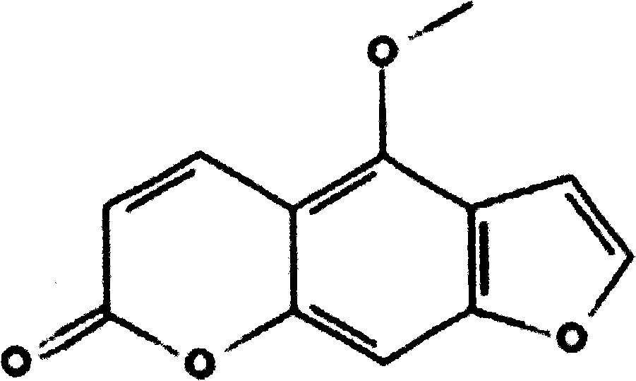 Method for extracting bergapten from radix angelicae pubescentis