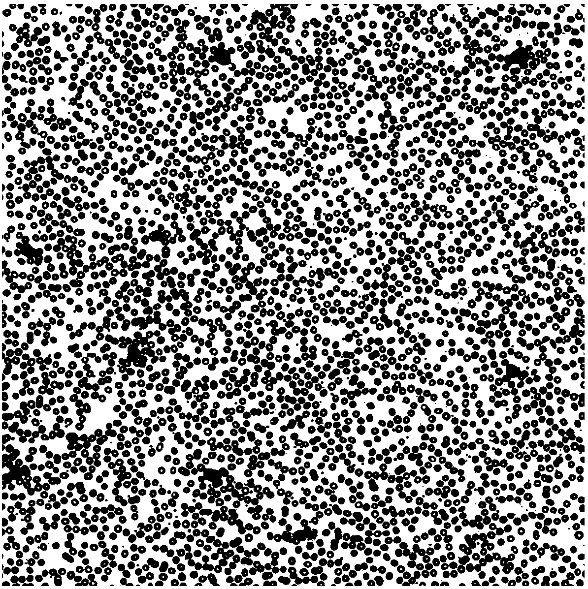 A five-classification method for leukocytes based on deep learning