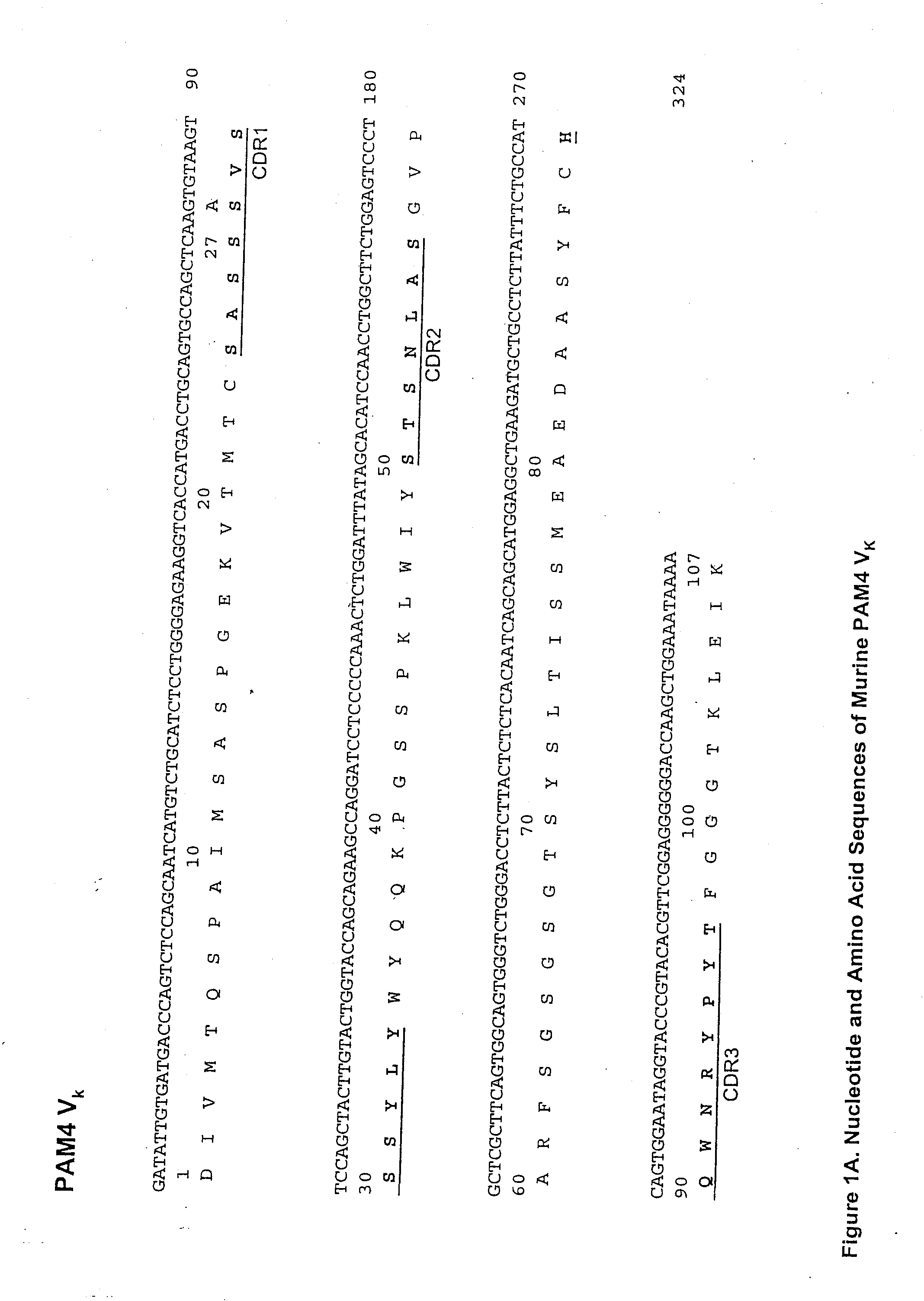 Monoclonal Antibody hPAM4