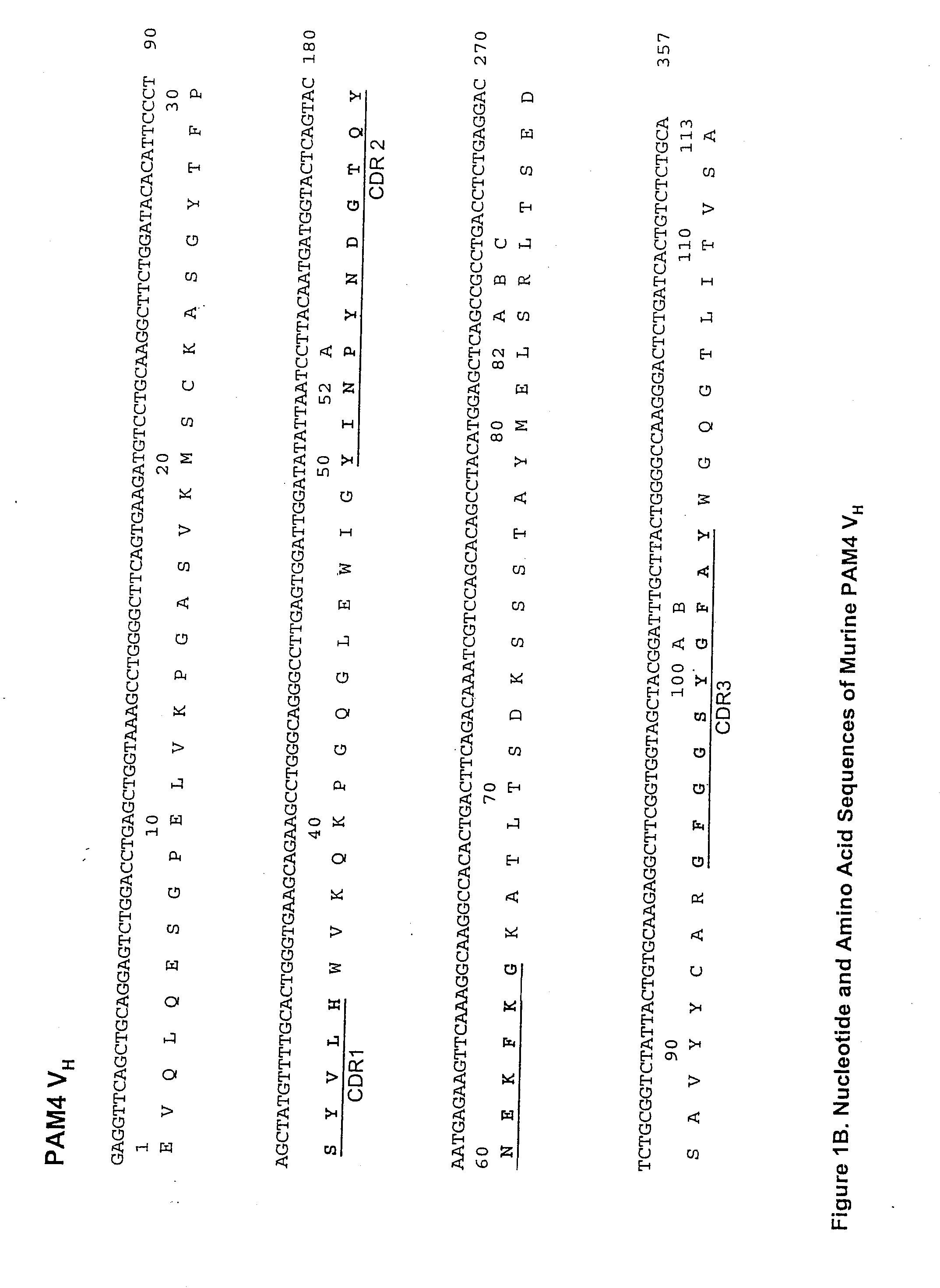 Monoclonal Antibody hPAM4