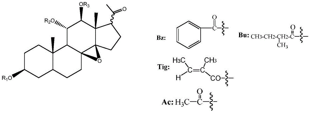 C21 steroid compound in marsdenia tenacissima and preparation method and application thereof