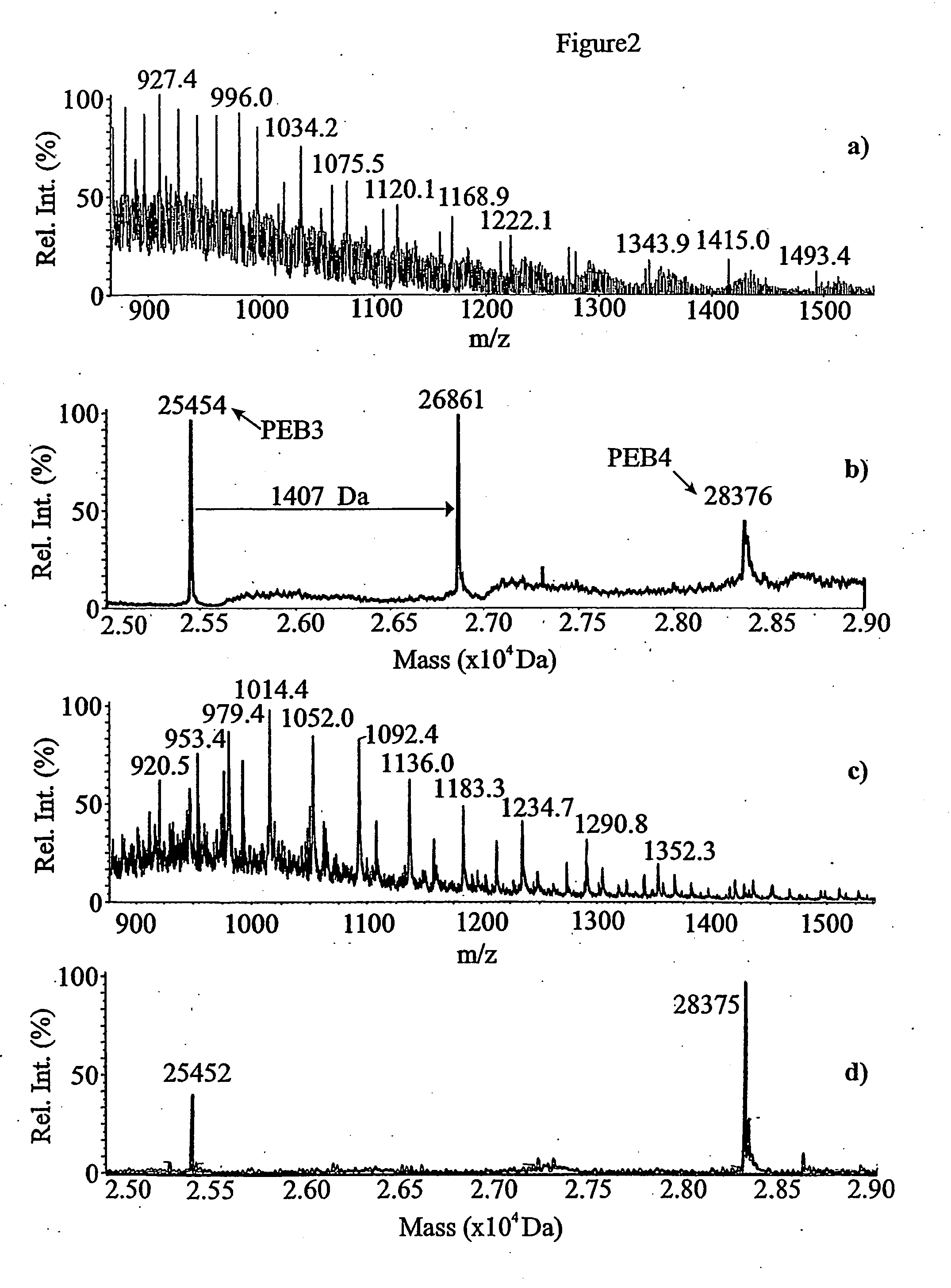 Campylobacter glycans and glycopeptides