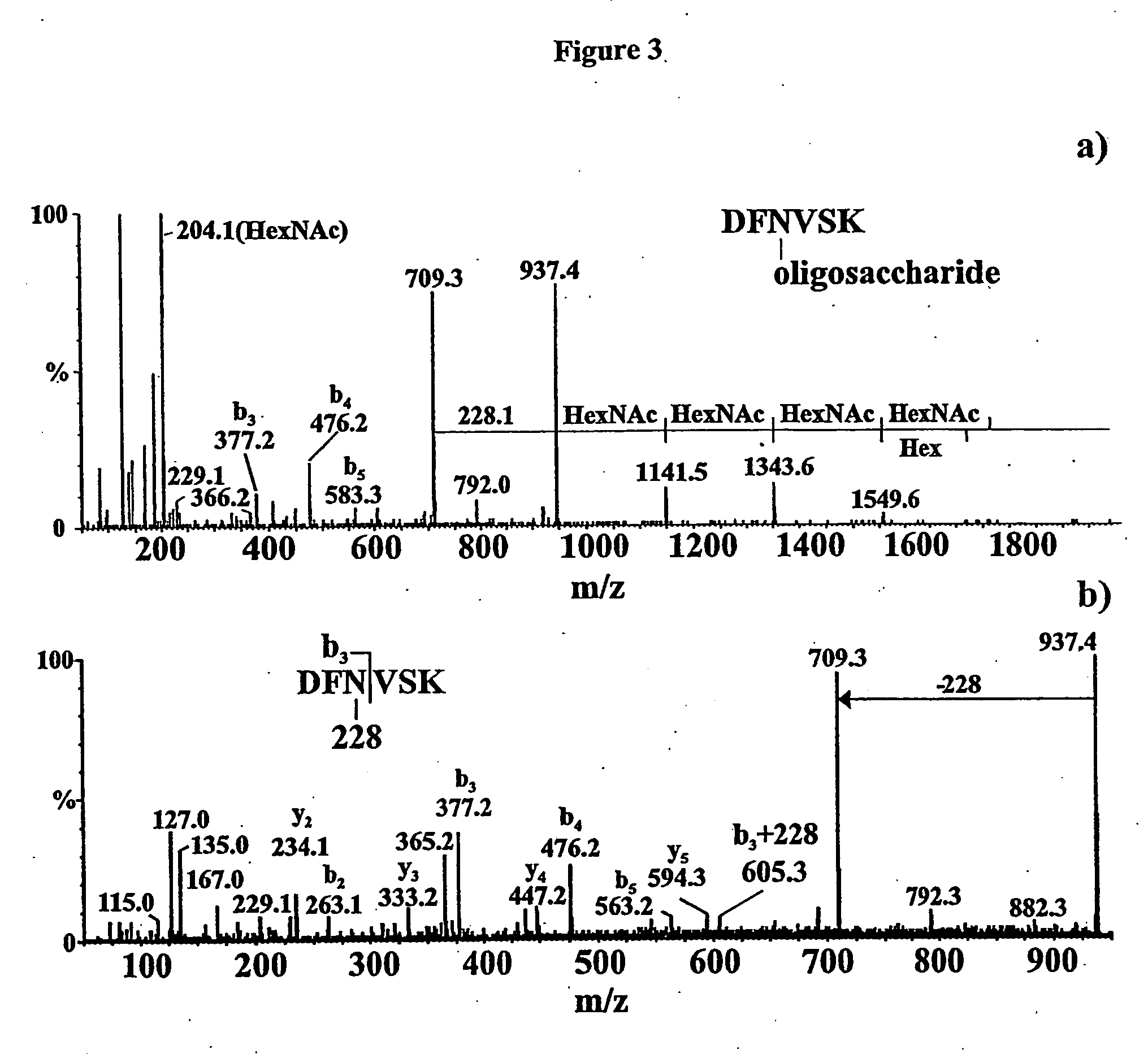 Campylobacter glycans and glycopeptides