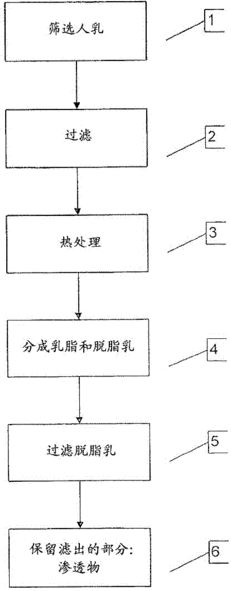 Human milk permeate compositions and methods of making and using same