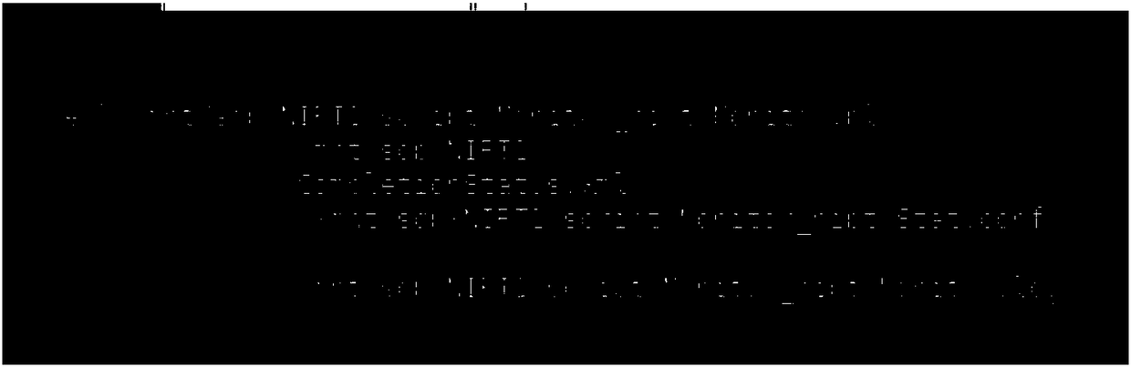 Noninvasive prenatal bioinformatics detection system and method as well as application