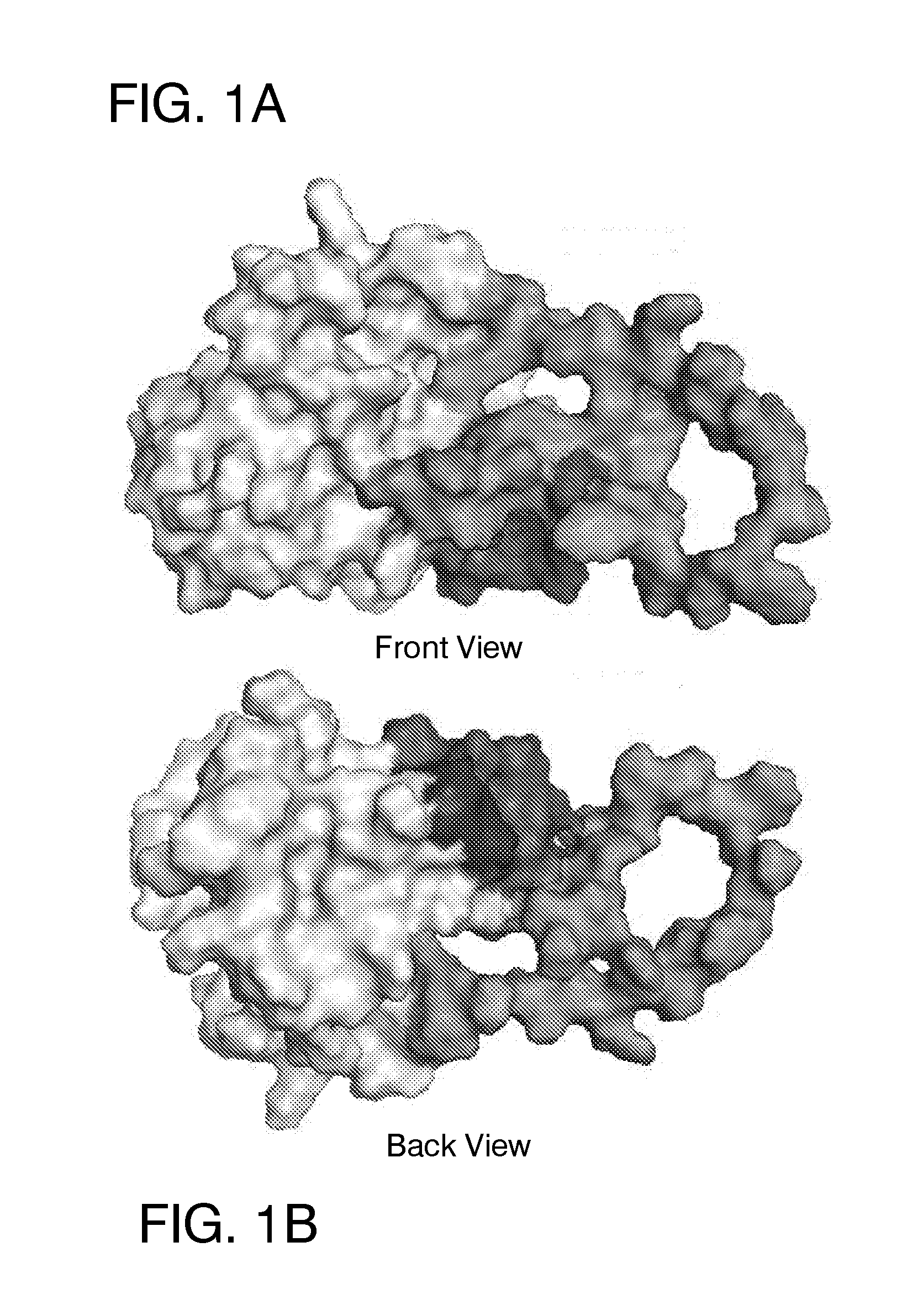 Ligands that target hepatitis c virus e2 protein