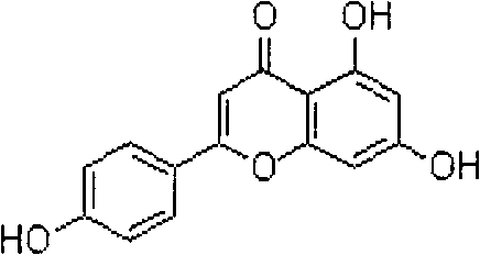 Apigenin amorphous compound and preparation method thereof