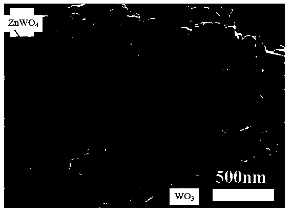 Method for preparing tungsten trioxide/tungstic acid composite photocatalytic material through in-situ self growth