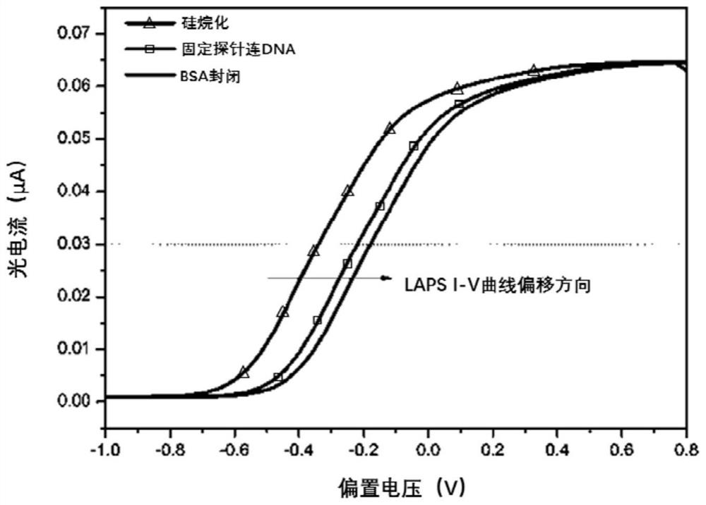 A device and method for improving the DNA detection performance of an optical addressable potential sensor using zno nanorods